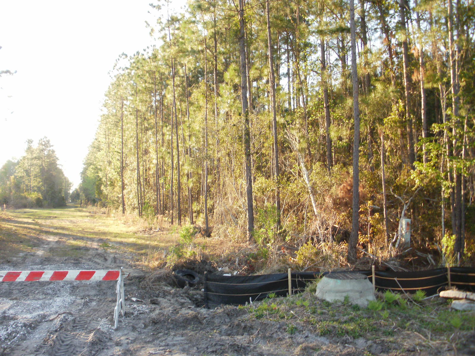 18 Acres of Land Camden